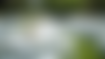 Essential Equipment for Seamless Event Rentals