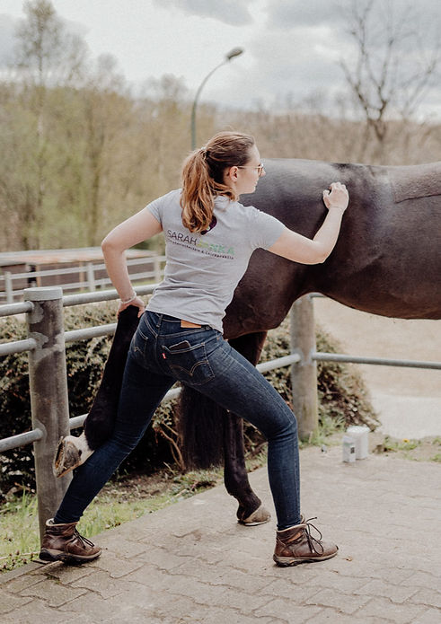 Behandlungsablauf-Sarah-Janka-Pferdephysiotherapie-und-Chiropraktik-2_edited.jpg