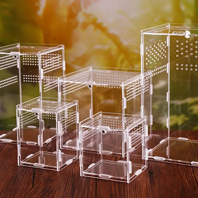 Acrylic Nano Terrarium – Transparent Breeding Enclosure for Bearded Dragons