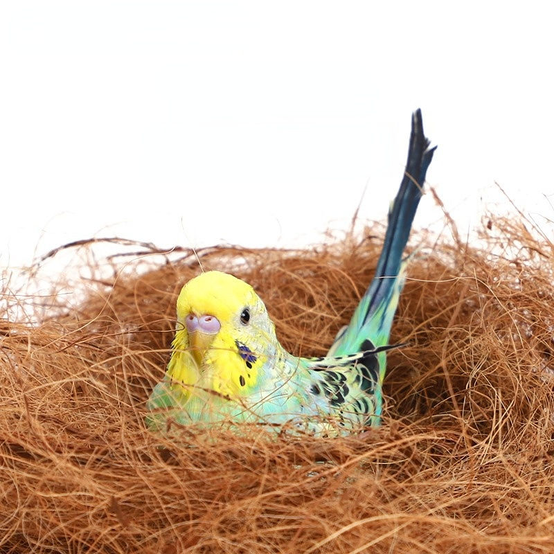 100/200g Coconut Fibre Nesting Material