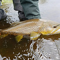 IMG_2019-3-1536x1152.jpeg