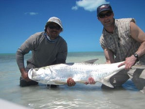 Whoops, here they is mon