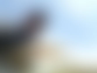 Salmon Flies, Kittens, Giant Browns, and Private Water