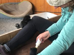 Bad Weather = Great Spring Conditions