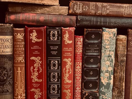 Why does the U.S. Government insist on banning fantasy, fiction,and dystopian books in public schools and libraries and how is it affecting education?