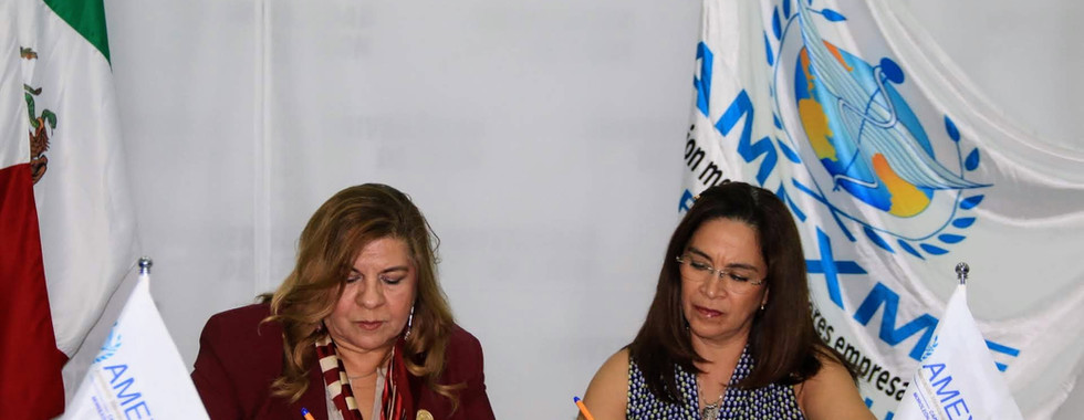 Curso “Herramientas de Inteligencia Artificial para Negocios” con la UIW Campus Bajío para AMEXME MUY. EmprendHEC - Hiper-Productividad para Líderes. Ing. Paulo César Ramírez Silva.