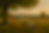 BCF732A0-2E48-417D-8DEE-5E6AD0FBF6FC (3).PNG