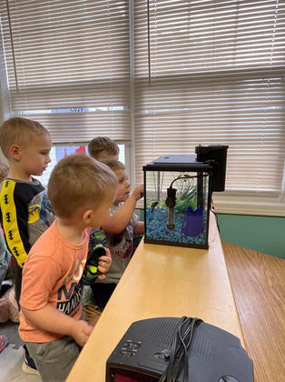 Ducklings Childcare Waxhaw North Carolina