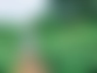 Stuck in the Mud - Gardening with Early Years Children with Special Educational Needs.