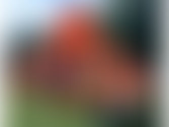 25 Years of Carnival Celebrated in Our Station Galleries Across Gloucestershire