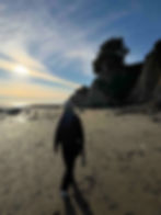 The silhouette of a person walking on the beach along the Pacific Ocean.