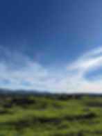 An expansive view of green fields in Santa Barbara's wine country.