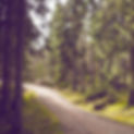 Woodland Path_edited.jpg