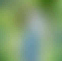 soccer player juggles a ball in the forest