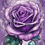 Miniatura: Rose 40x50cm