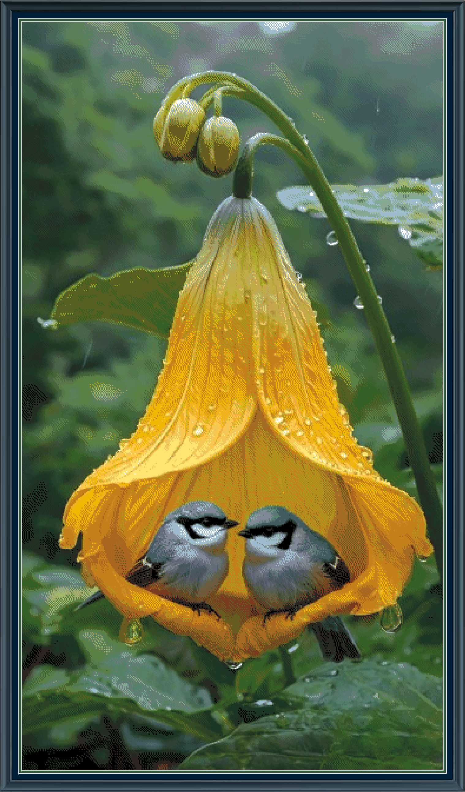 Birds & Flowers Collection 1