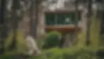 tree-inn-baumhaus-wolf.webp