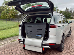 Used 2024 Kia Carnival diesel