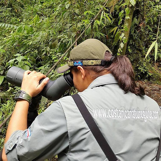 Private tours in Costa Rica