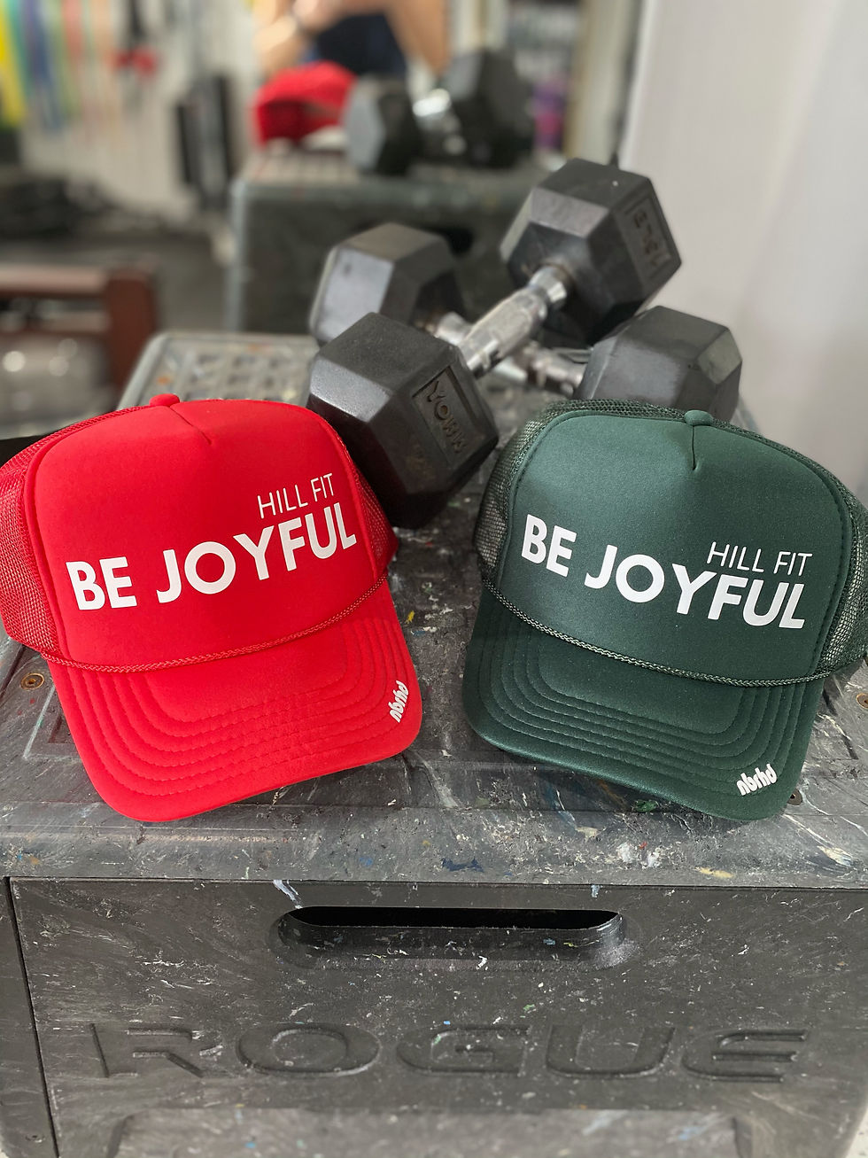 Hill Fit Holiday Hat