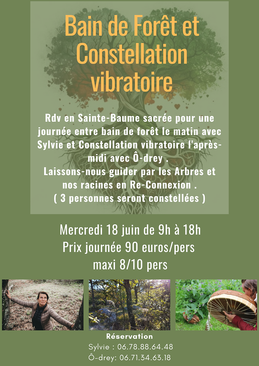 Bain de forêt et Constellation vibratoire