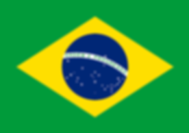 brasilian flag.png
