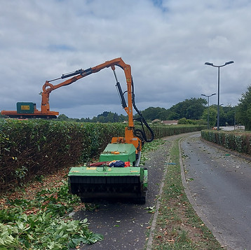 Porteur à chenilles EP Spé Environnement avec bras de taillage plateaux couteaux