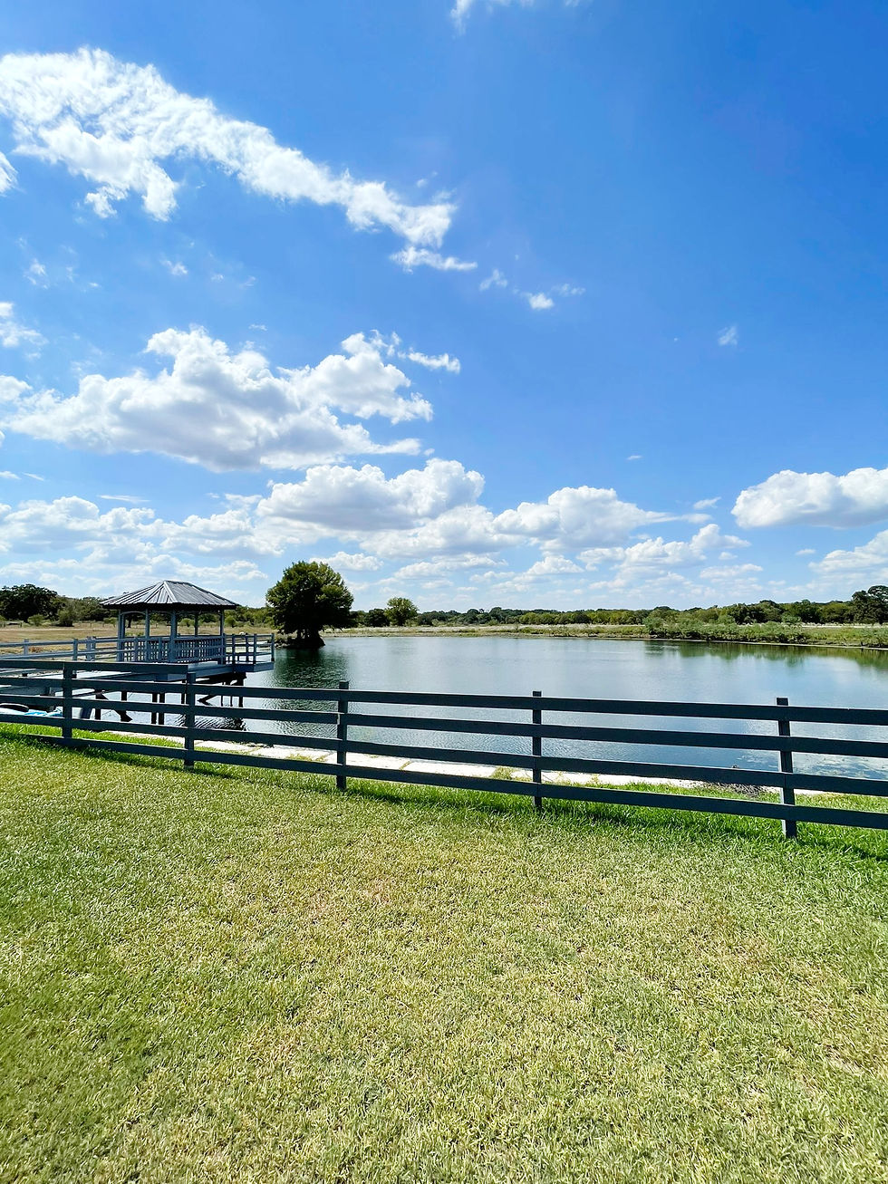 The Point Ranch Gallery | 3 Points Ranch