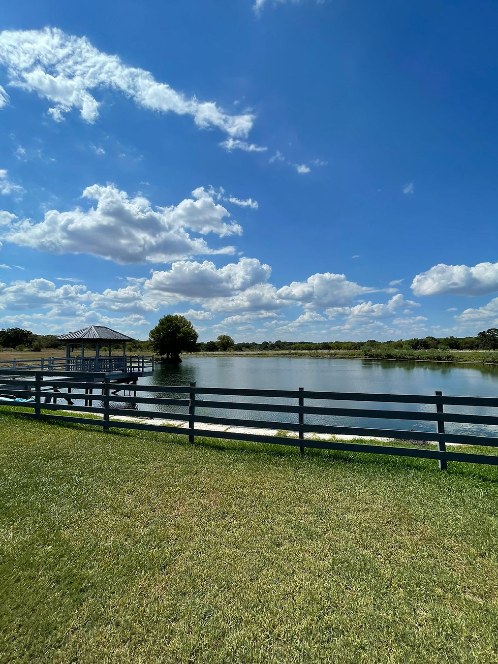 Gallery | 3 Points Ranch