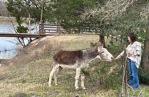 Photo Jan 23 2023, 5 12 24 PM_edited.jpg