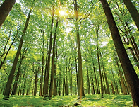 Screenshot 2025-08-27 at 7.13.06 PM.png