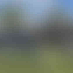 Playground Shade Structure