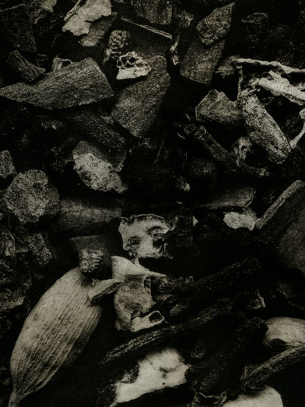 copperplate photogravure, 6" x 6" 