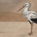 papier-peint-panoramique-stork-mother-coordonne.jpg
