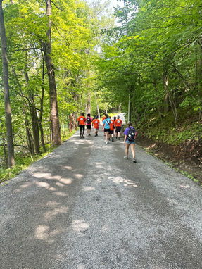Groupe de participants marchant ensemble sur un sentier forestier lors d’une activité extérieure de S.Au.S.