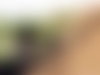 Algerian Vocational Training Scholarship 2025/2026