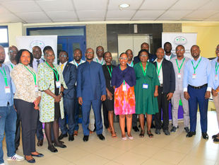 NEMA announces several job vacancies across various departments