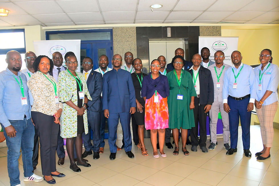 NEMA announces several job vacancies across various departments