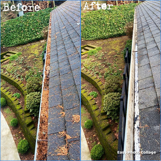Before and After comparison photo showing the results of gutter cleaning service.
