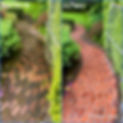 Before and After picture of a brick walkway after being cleaned.