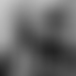 The Pursuit of Happiness can easily be found in Pizza