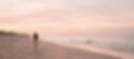 Gemini_Generated_Image_w43ry4w43ry4w43r_edited.jpg