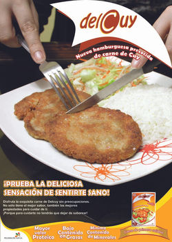 Propuesta afiche impreso