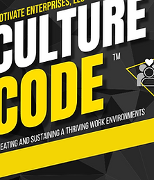 Culture Code Conceptual Guide.png
