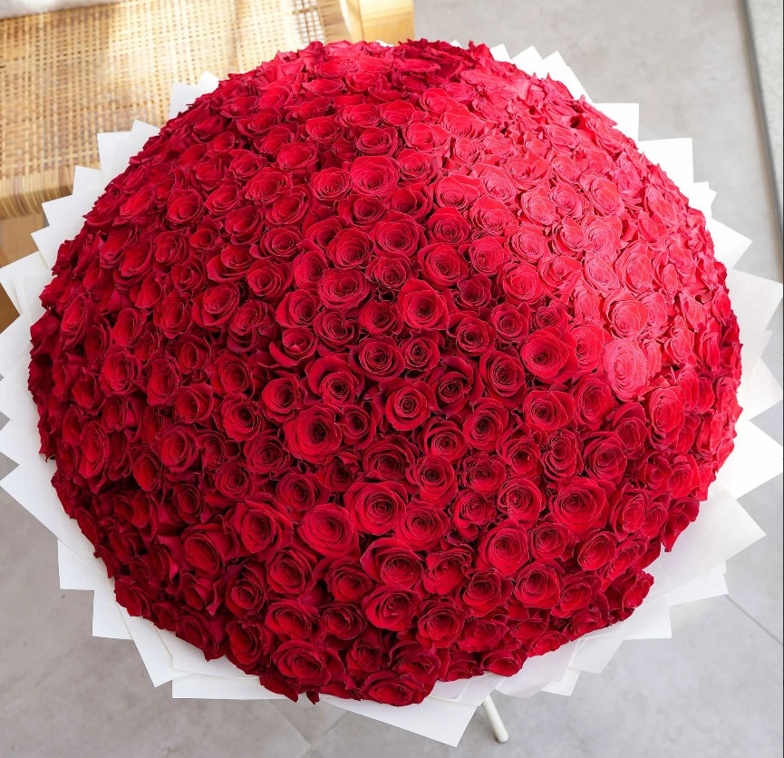 365 Red Roses