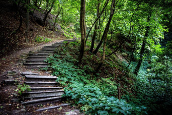 kyiv-bald-hills - 6.jpeg