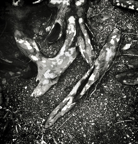 Film - 7.jpeg