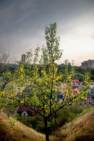kyiv-bald-hills - 17.jpeg