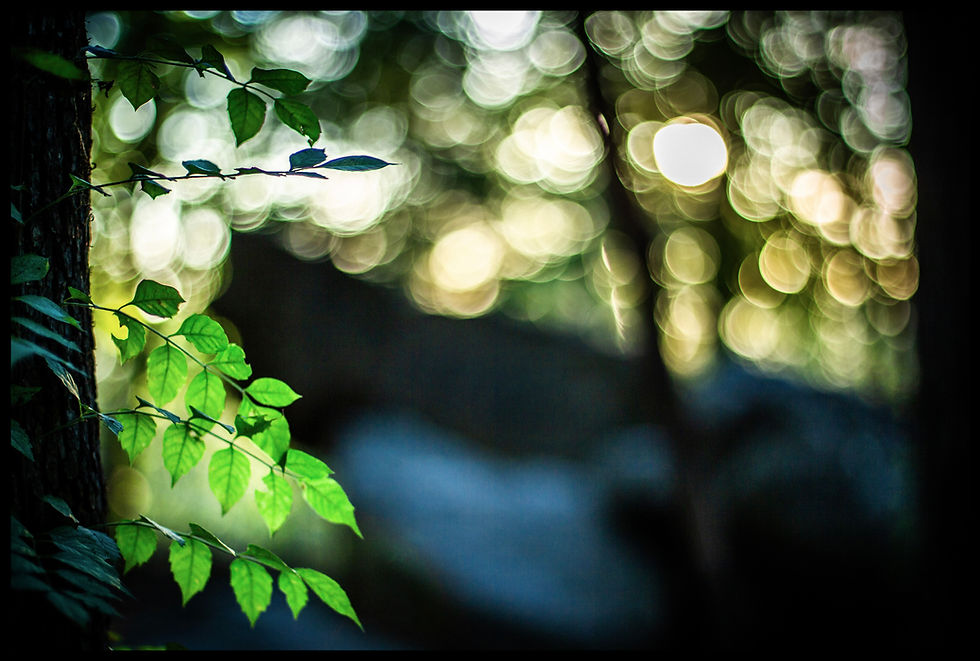Rocks and Rainbows and an Autumn Dawn