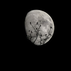 moon-2093161_1920.jpg